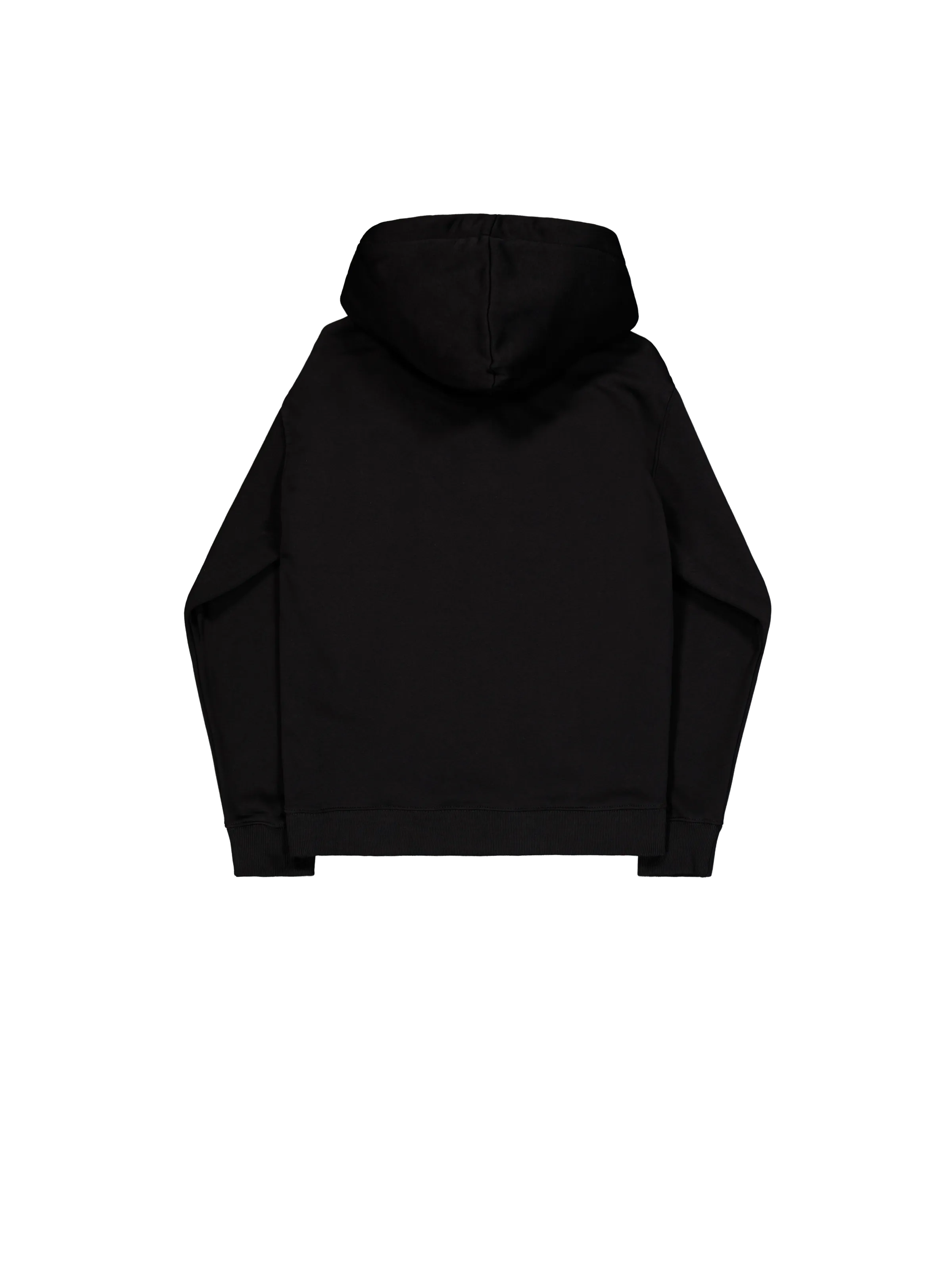 Basic Big Logo Hoodie Alpha Industries AW25 - Black