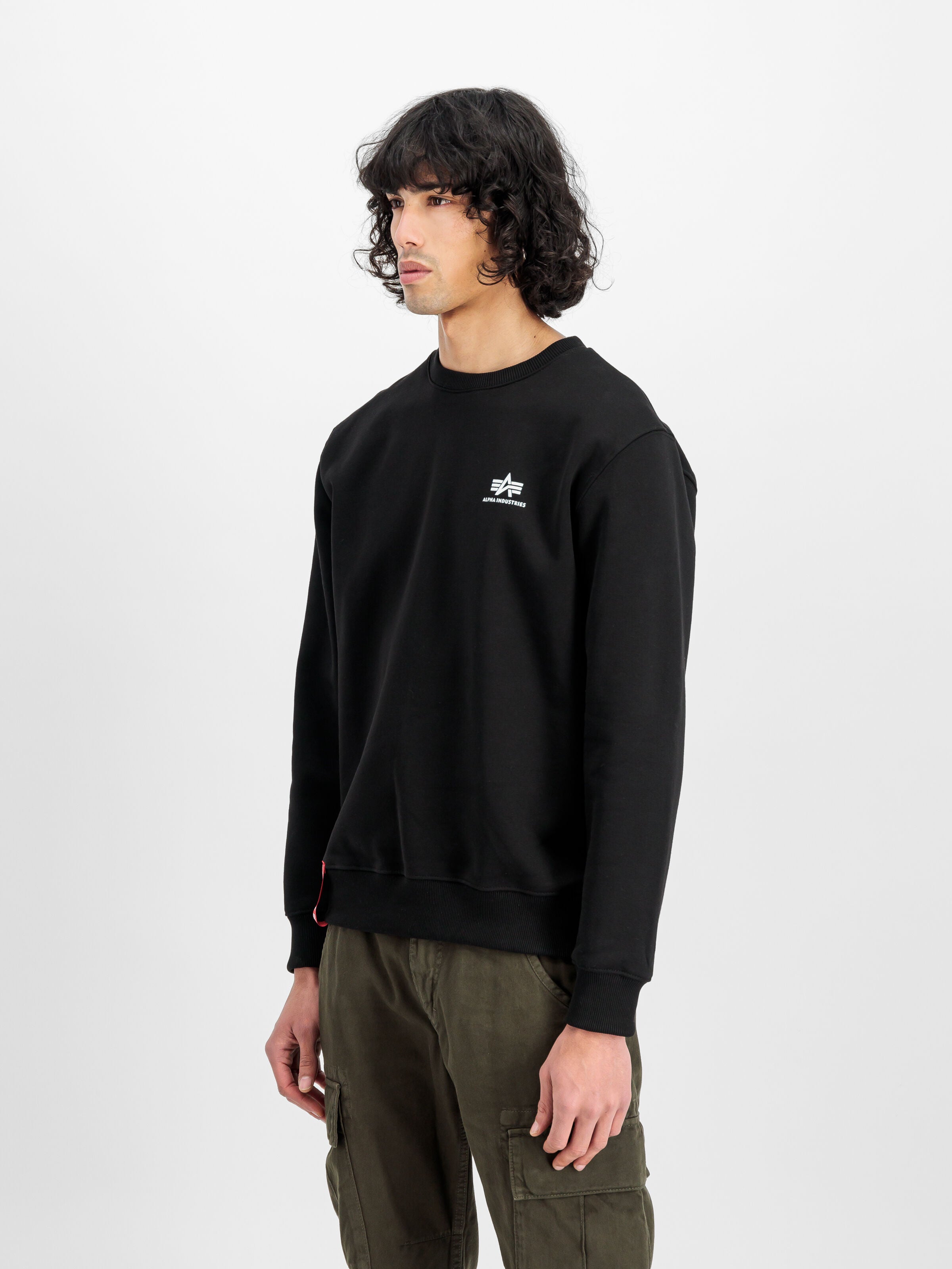 Basic Small Logo Sweatshirt Alpha Industries AW25 - Black