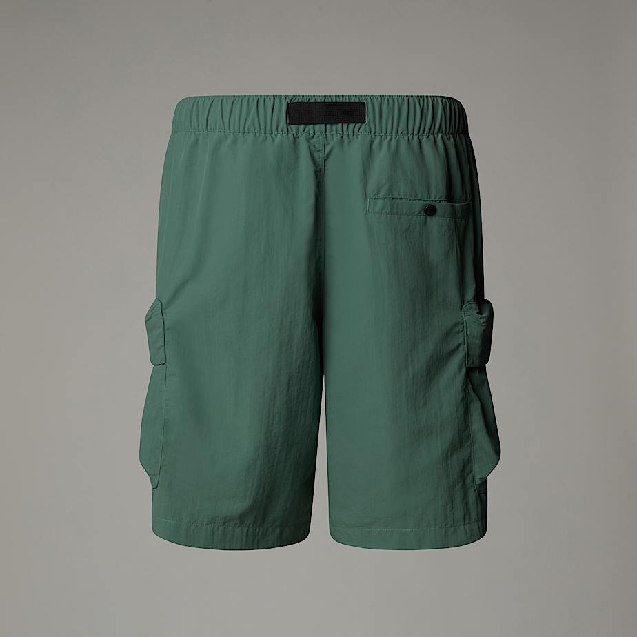 Pantaloncini Cargo Pocket The North Face - Duck Green