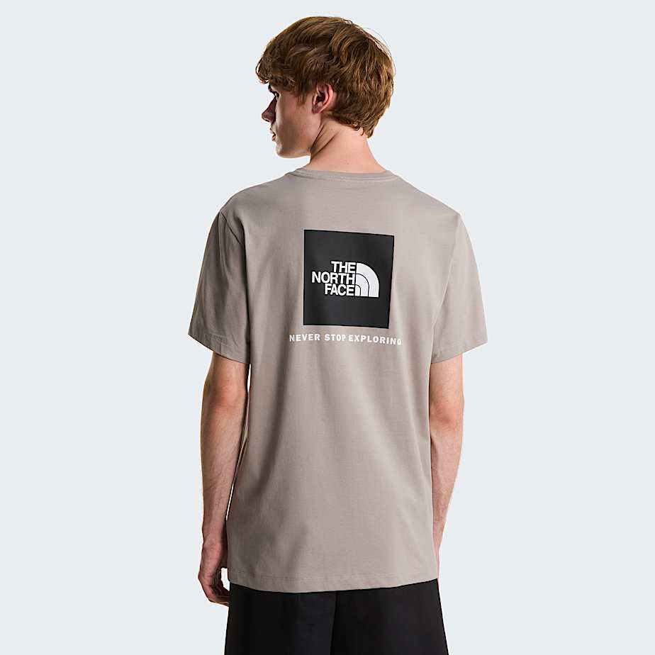 Men's Evolution NSE Box Regular T-Shirt The North Face - Stone Slab