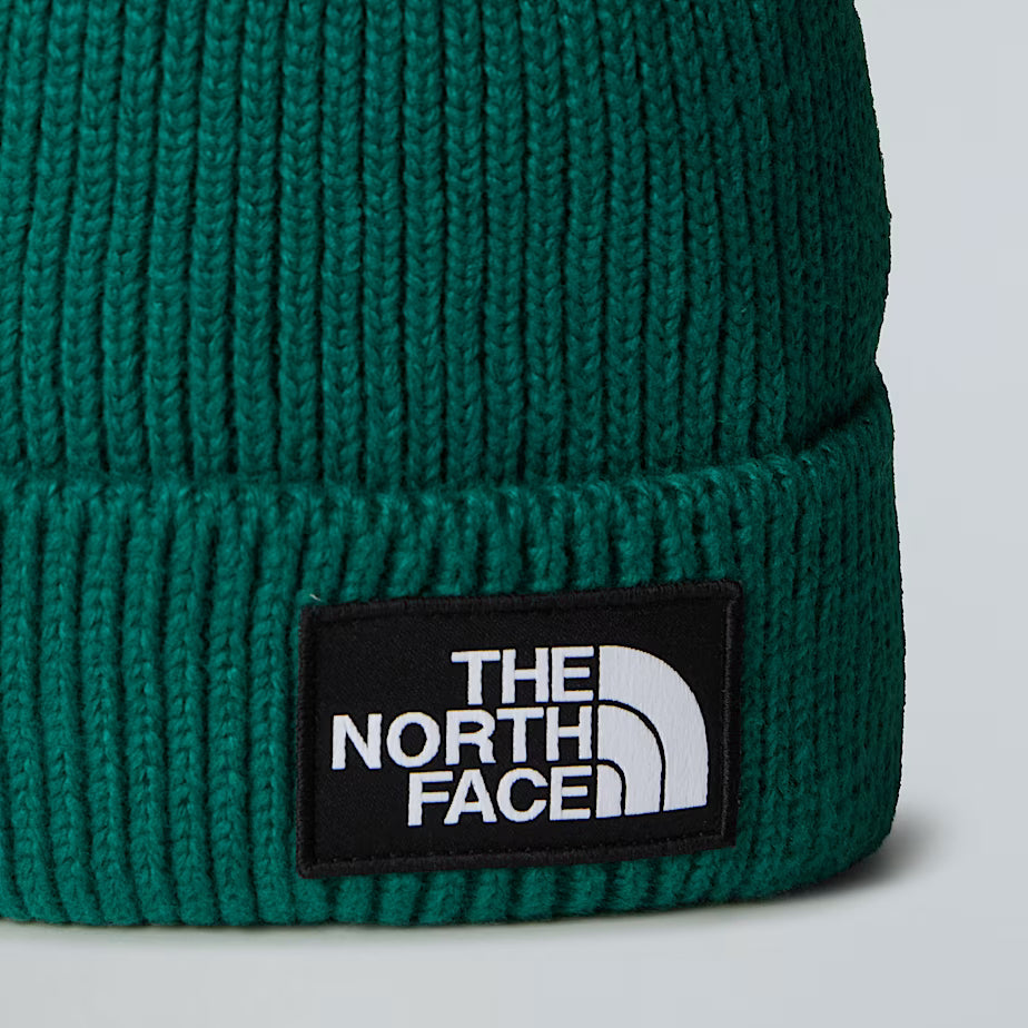 TNF Logo Box Cuffed Beanie The North Face AW25 - Evergreen