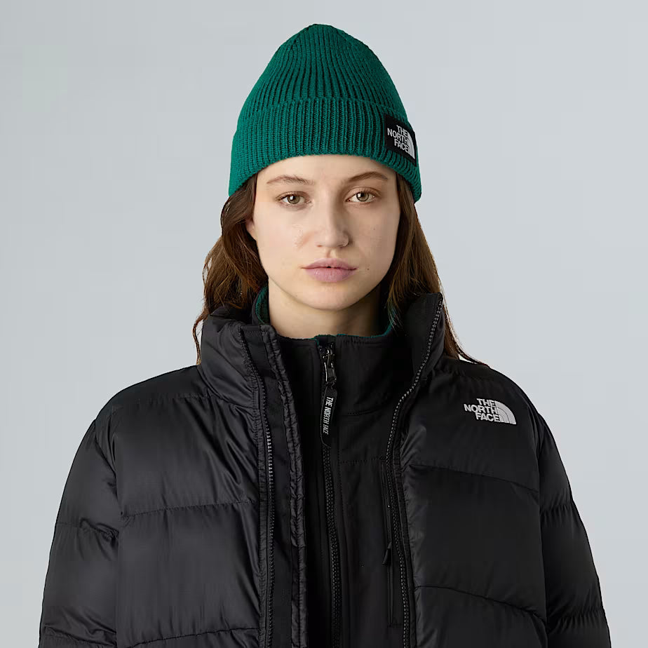 TNF Logo Box Cuffed Beanie The North Face AW25 - Evergreen