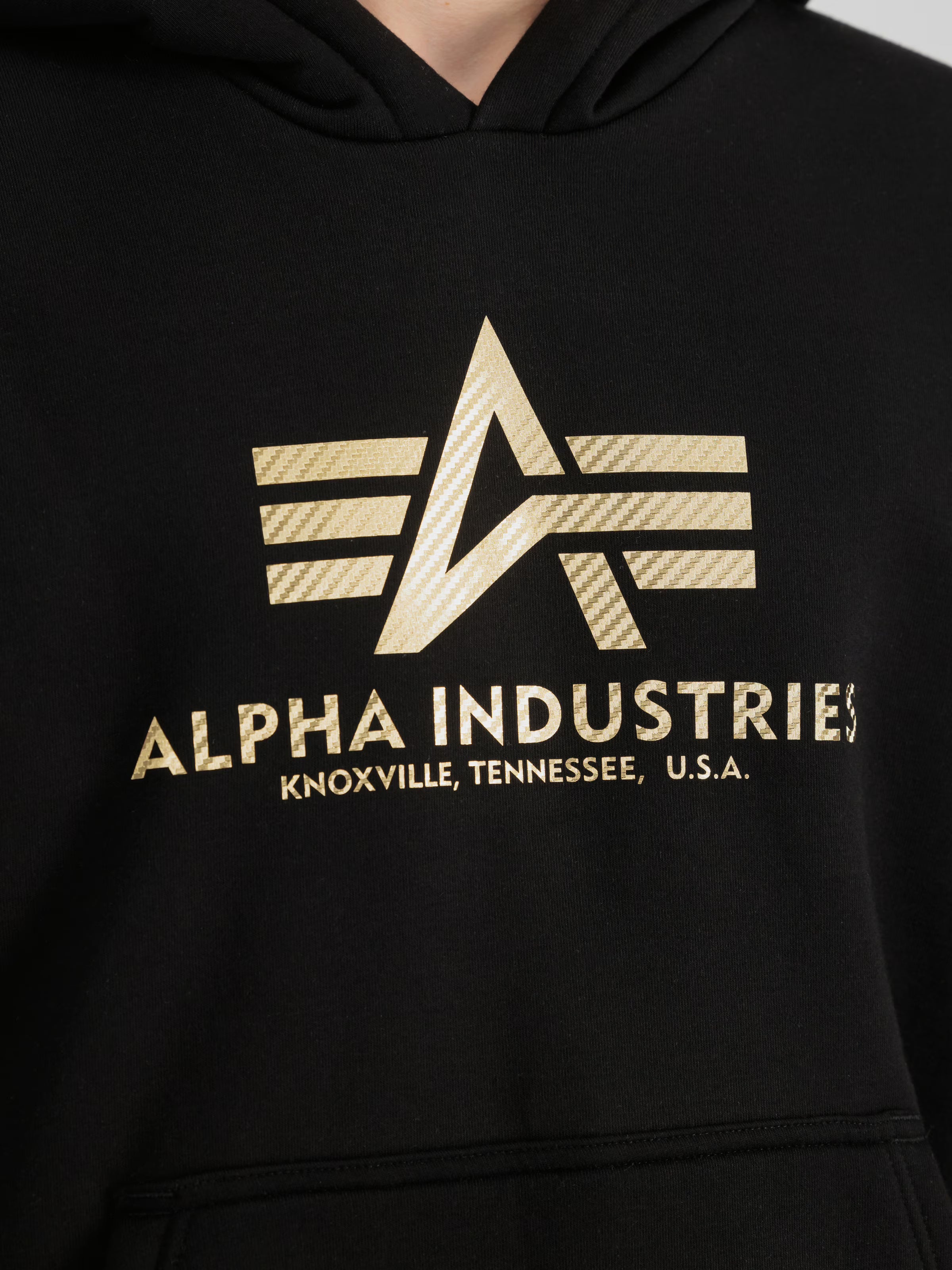 Basic Carbon Hoodie Alpha Industries AW25 - Black / Gold