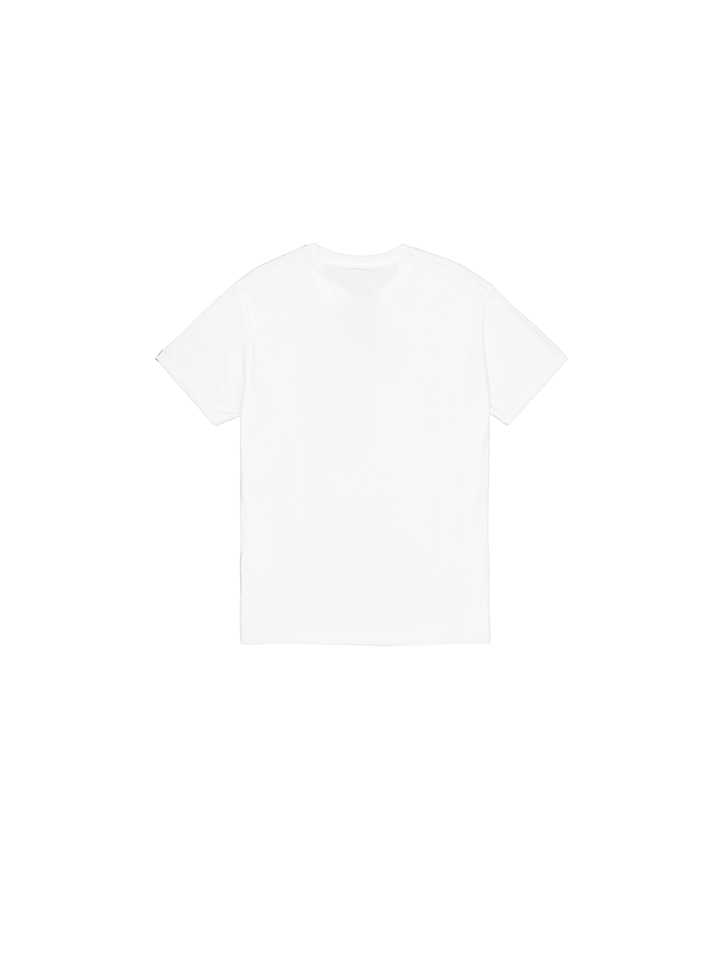 Basic T Small Logo Alpha Industries - White