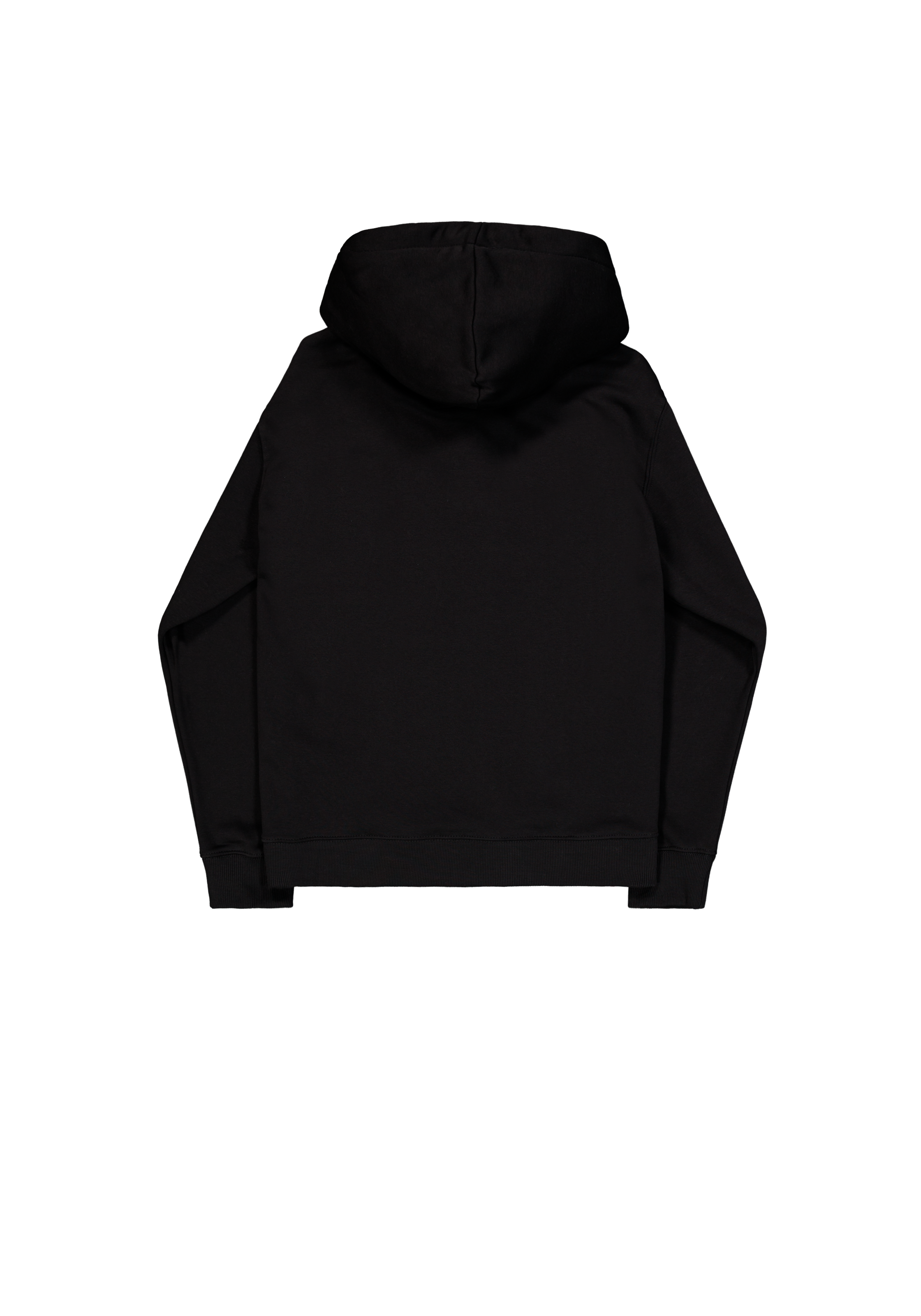 Basic Small Logo Hoodie Alpha Industries AW25 - Black