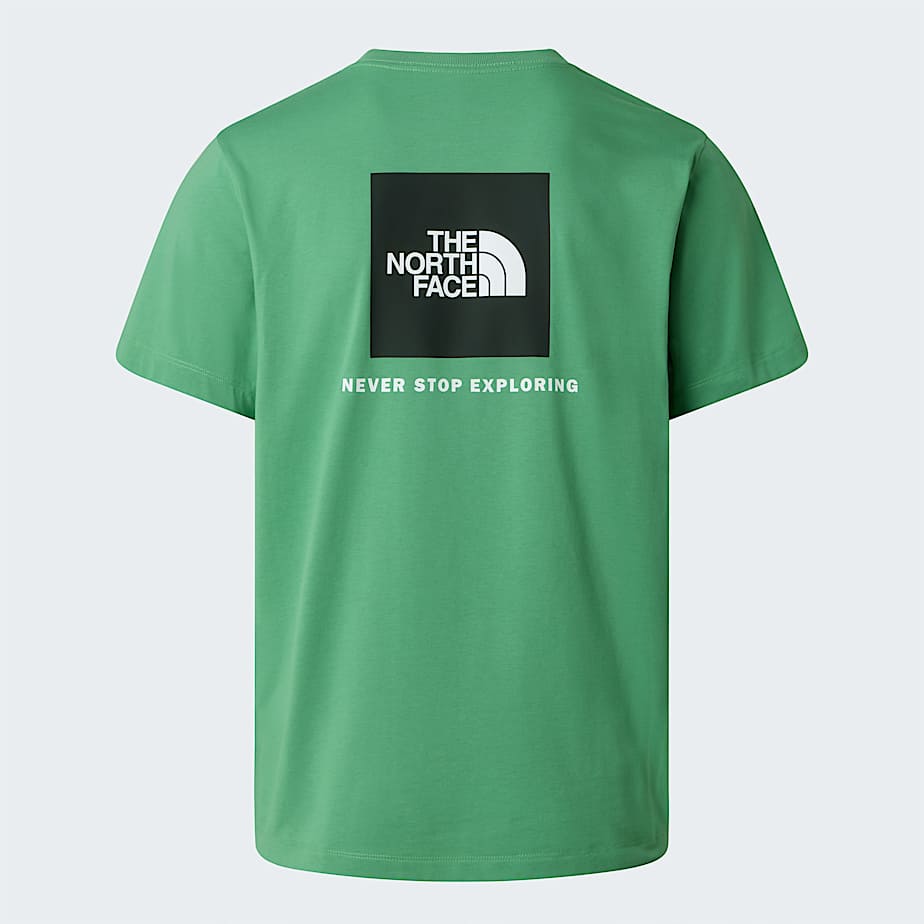 Men's Evolution NSE Box Regular T-Shirt The North Face - Dimmed Algae