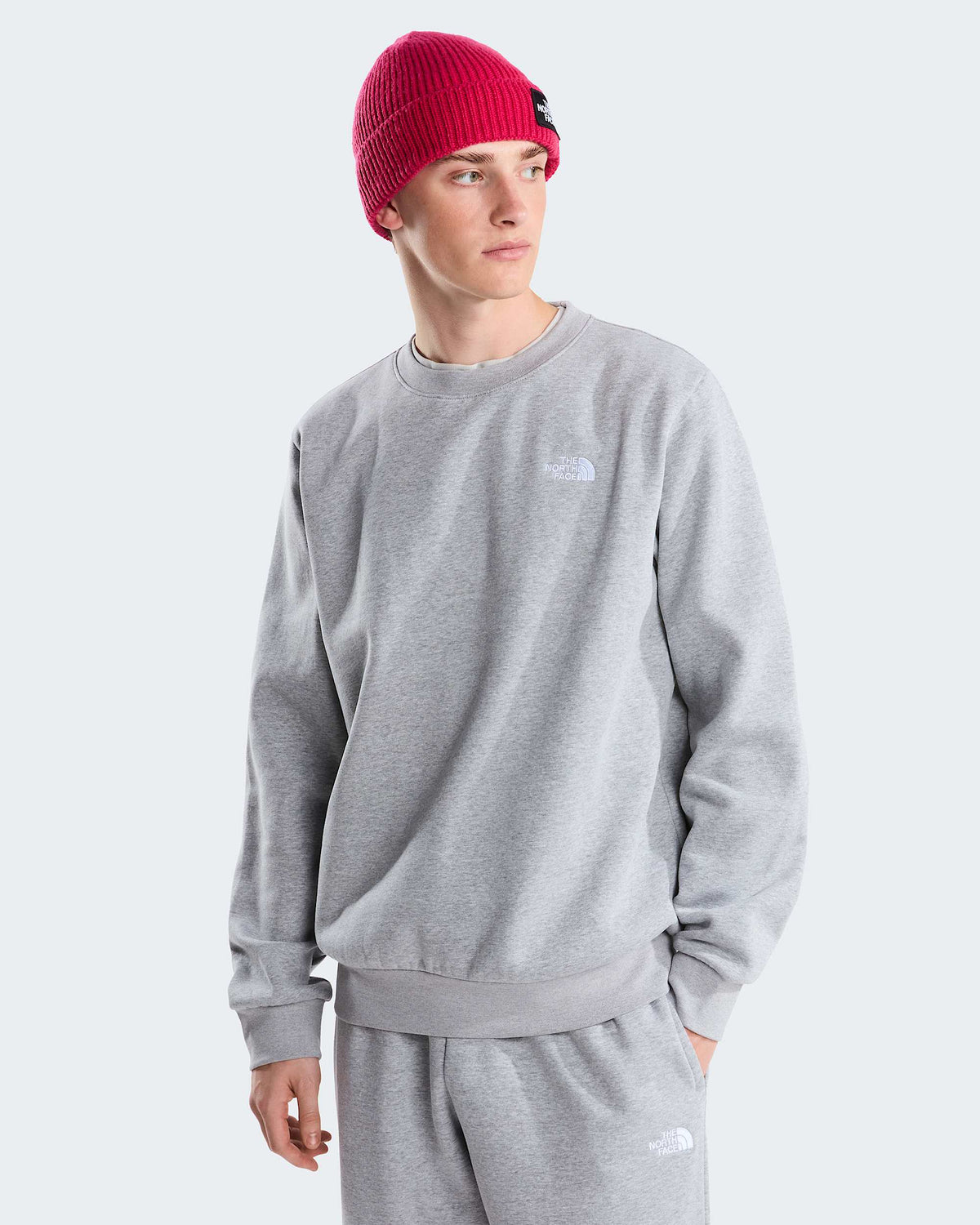 The North Face Simple Dome felpa grigia - foto 1